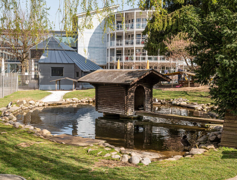 Tiergarten